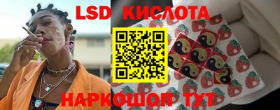 дмт Гай