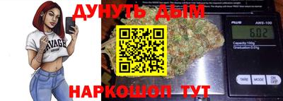 дмт Гай
