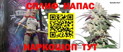 прущие грибы Гусев