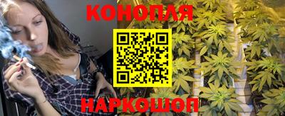 прущие грибы Гусев